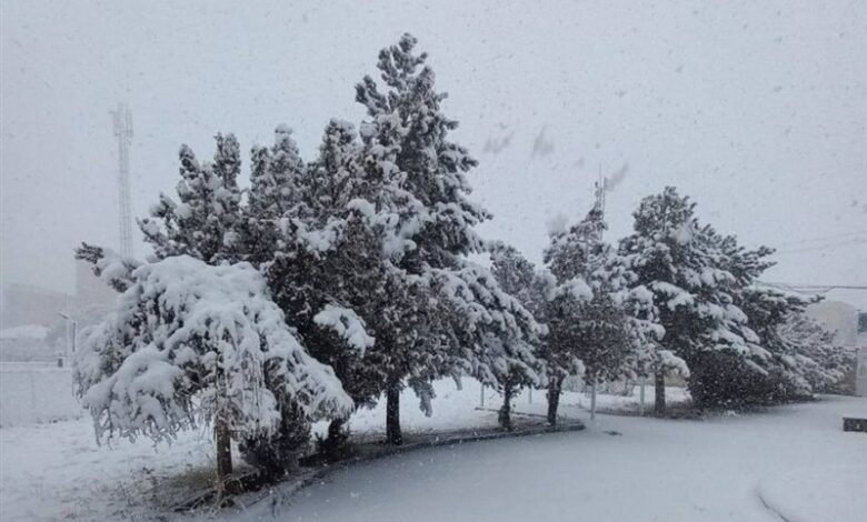 بارش برف و باران در کردستان