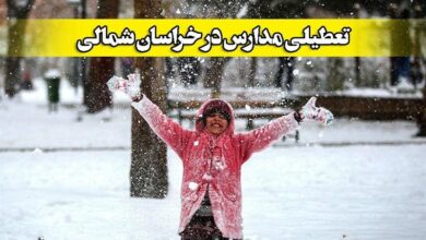 بارش برف؛ اختلال در تردد و تعطیلی مدارس در خراسان شمالی