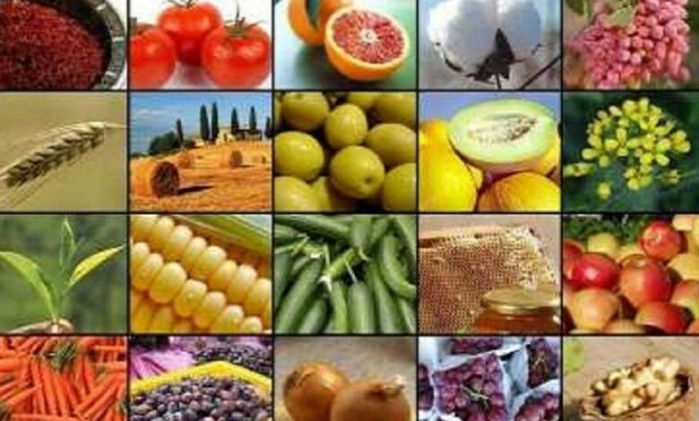 بیشترین زنجیره ارزش بخش کشاورزی در فارس