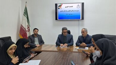 تشکیل 114 پرونده در زمینه سقط جنین در خراسان جنوبی