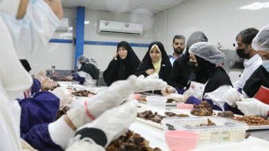 تقویت کسب‌وکارهای اقتصادی زنان بوشهری