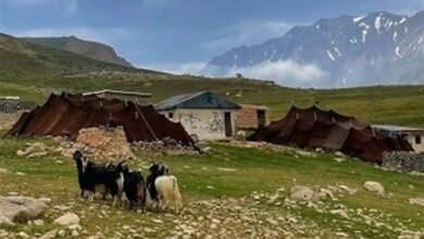 جشنواره شکوه اقوام و عشایر فارس آغاز شد