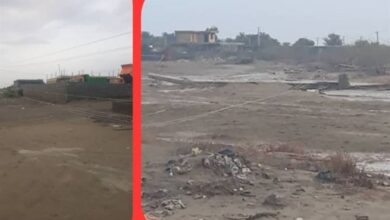 خسارت 100 میلیاردی زیرساخت‌های برق میناب بر اثر تندباد