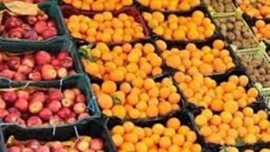 در ذخیره‌سازی میوه شب عید دنبال سود و منفعت نیستیم
