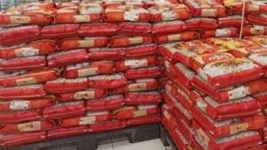 رایزنی استاندار با وزیر جهاد برای تامین برنج هرمزگان