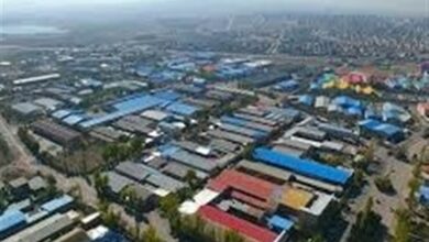 سهم 23 درصدی محصولات کشاورزی از صنعت گلستان