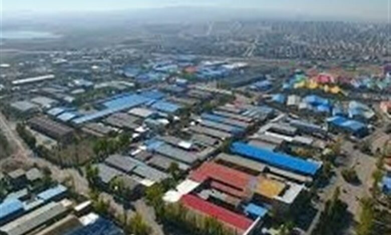 سهم 23 درصدی محصولات کشاورزی از صنعت گلستان