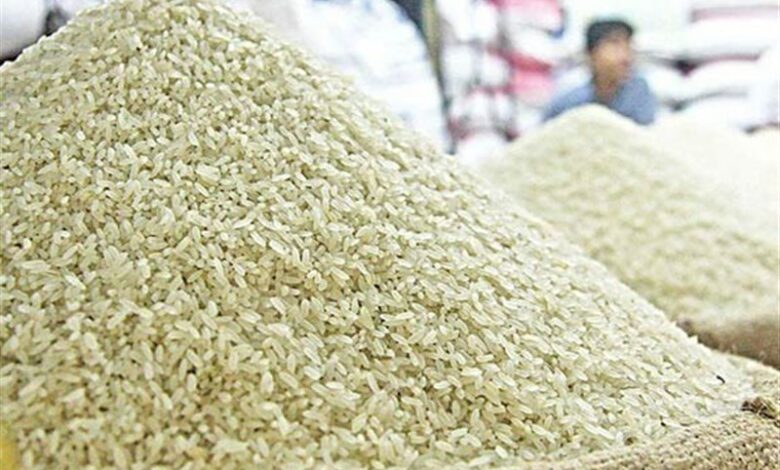 سودجویان برنج شمال را احتکار کرده‌اند/ گره کار کجاست؟