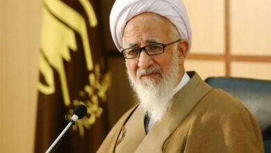 شرکت در راهپیمایی 22 بهمن قدردانی از امام و شهداست