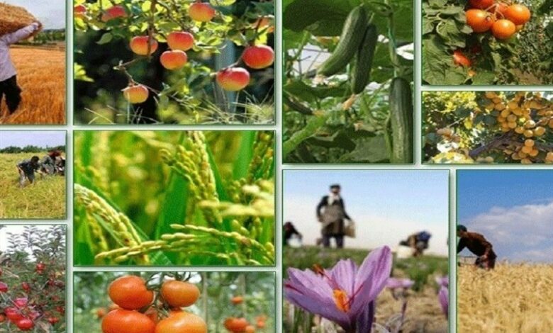 صادرات 189 هزار تن محصولات کشاورزی استان بوشهر