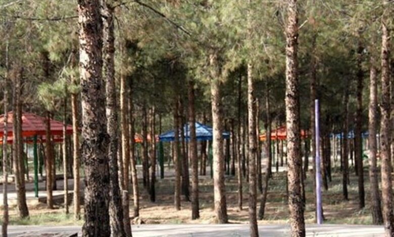 ضرورت ایجاد پارک جنگلی در شهر ملکشاهی