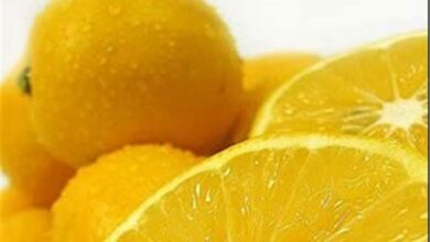 فارس در تولید لیموشیرین کشور سهم 86 درصدی دارد
