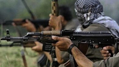 ماجرای تلخ فریب‌خوردگان و جنایات تروریست‌ها