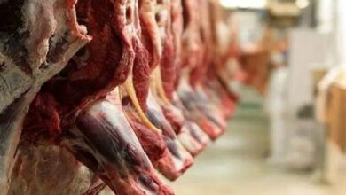 نظارت بهداشتی بر ترخیص 39 هزار رأس دام در سیستان و بلوچستان