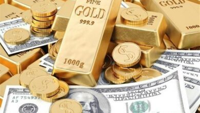 نمایندگان مجلس و دولت برای مسئله اقتصاد چاره اندیشی کنند