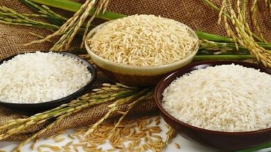 واکاوی پشت‌پرده گرانی برنج/‌ بازار برنج دست چه کسانی است؟