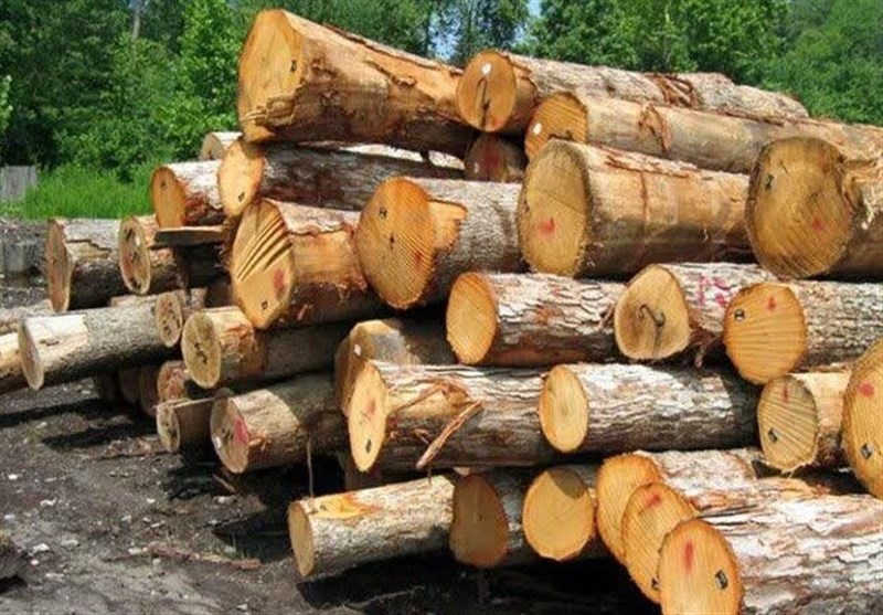 کشف 22 تن چوب قاچاق در آوج