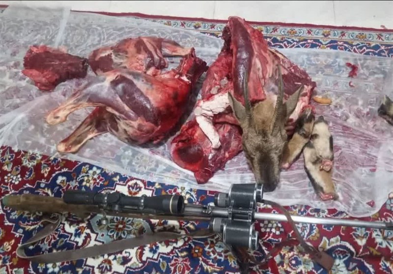 دستگیری شکارچیان متخلف در منطقه حفاظت‌شده ارجمند فیروزکوه