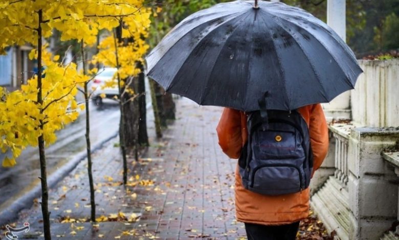 بارشهای اخیر در فارس و بهبود نسبی وضعیت آبی در کنار چالشهای خشکسالی / اخبار فارس - اخبار استانها