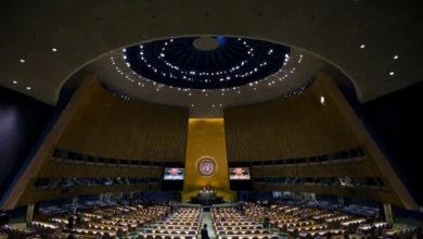 شورای امنیت سازمان ملل: تهدید داعش خراسان در افغانستان همچنان پابرجاست / داعش خراسان , افغانستان , شورای امنیت سازمان ملل , تروریسم , طالبان پاکستان