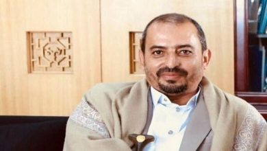 مذاکرات مجازی وزارت خارجه یمن با فرستاده سازمان ملل / یمن , سازمان ملل , مذاکرات صلح , عبدالواحد ابوراس , هانس گروندبرگ