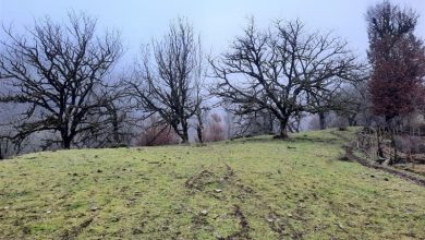 افزایش دما و افت شدید بارشها در خراسان جنوبی / اخبار خراسان جنوبی - اخبار استانها