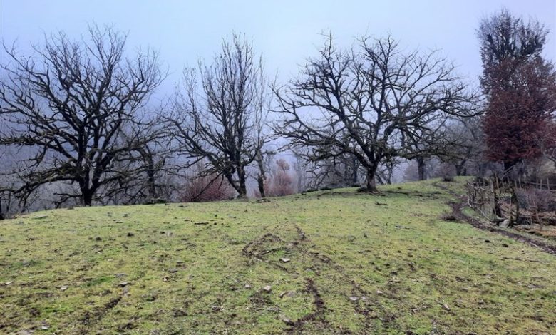 افزایش دما و افت شدید بارشها در خراسان جنوبی / اخبار خراسان جنوبی - اخبار استانها