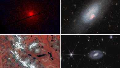 منتخب تصاویر فضایی آژانس فضایی اروپا؛ از دنبالهدار پرتو ایکس تا کهکشان آبی درخشان / آژانس فضایی اروپا , تصاویر فضایی , دنبالهدار , رشته کوه , مریخ