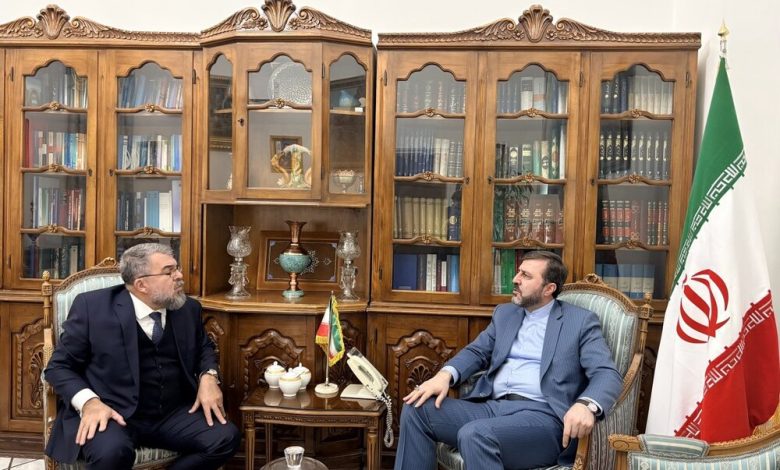 تاکید معاون وزیر خارجه بر گسترش روابط ایران و برزیل / ایران , برزیل , روابط دوجانبه , کاظم غریب آبادی , سفیر برزیل