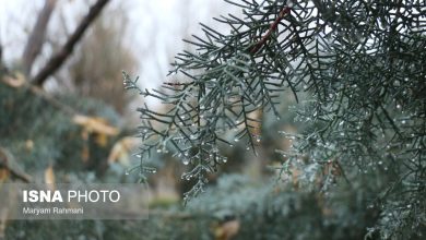 هشدار درباره احتمال سیل در چند استان؛ بارشهای اخیر جبران کمآبی را نمیکند / بارش , سیل , کمآبی , وزارت نیرو , پیشبینی هواشناسی