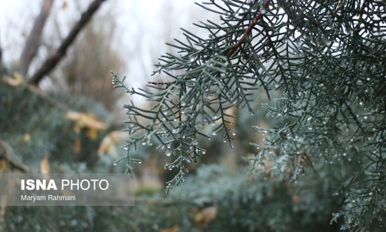 هشدار درباره احتمال سیل در چند استان؛ بارشهای اخیر جبران کمآبی را نمیکند / بارش , سیل , کمآبی , وزارت نیرو , پیشبینی هواشناسی