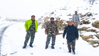 برخورد قاطع با سودجویان در دل طوفان؛ محموله بزرگ زغال قاچاق کشف شد / اخبار کهگیلویه و بویراحمد - اخبار استانها