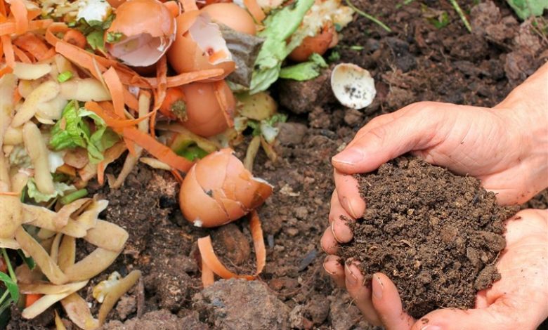 بهره برداری و تکمیل خط تفکیک 250 تنی کمپوست در 6 ماه / اخبار مازندران - اخبار استانها