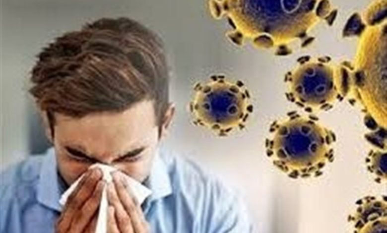 مرگ و میری از آنفلوانزا در اردبیل ثبت نشده است / اخبار اردبیل - اخبار استانها