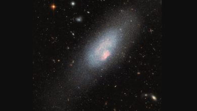 تصویر خیرهکننده هابل از کهکشان آبی درخشان Mrk 178 / تلسکوپ هابل , کهکشان Mrk 178 , ستارههای ولف-رایه , اخترفیزیک , نور فرابنفش