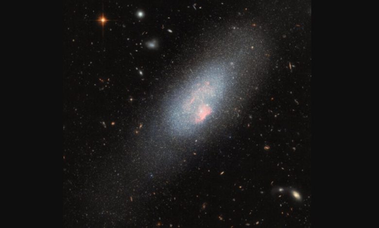 تصویر خیرهکننده هابل از کهکشان آبی درخشان Mrk 178 / تلسکوپ هابل , کهکشان Mrk 178 , ستارههای ولف-رایه , اخترفیزیک , نور فرابنفش