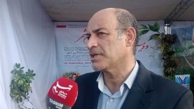 تحقق سرمایهگذاری گردشگری سلامت اردبیل / اخبار اردبیل - اخبار استانها