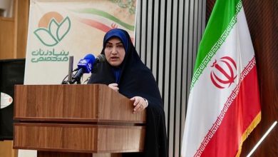 رفیعی: زنان میتوانند پیشران حل مسائل اصلی کشور باشند / اخبار سیاسی روز , اخبار مجلس