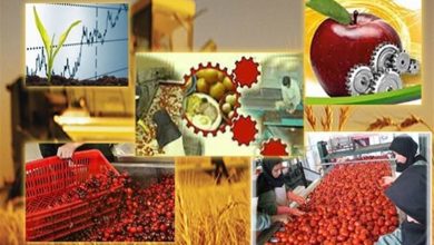 290 واحد صنایع تبدیلی در اردبیل فعال است / اخبار اردبیل - اخبار استانها