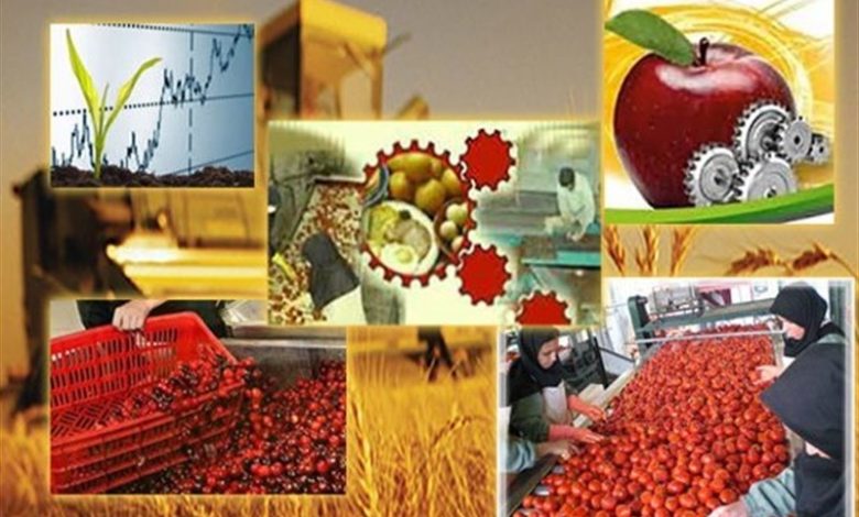 290 واحد صنایع تبدیلی در اردبیل فعال است / اخبار اردبیل - اخبار استانها