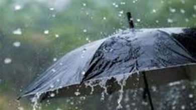 فیروزآباد در صدر بارشهای گسترده/ کاهش دما در راه است / اخبار فارس - اخبار استانها