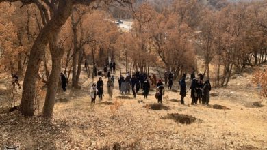 پویش ایران بانو با کاشت نهال به استقبال روز مادر رفت / اخبار کهگیلویه و بویراحمد - اخبار استانها