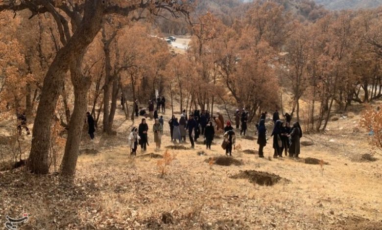 پویش ایران بانو با کاشت نهال به استقبال روز مادر رفت / اخبار کهگیلویه و بویراحمد - اخبار استانها