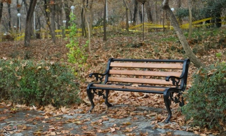 بهکده رضوی با 21.7 میلی‌متر پربارش‌ترین نقطه خراسان شمالی شد / اخبار خراسان شمالی - اخبار استانها