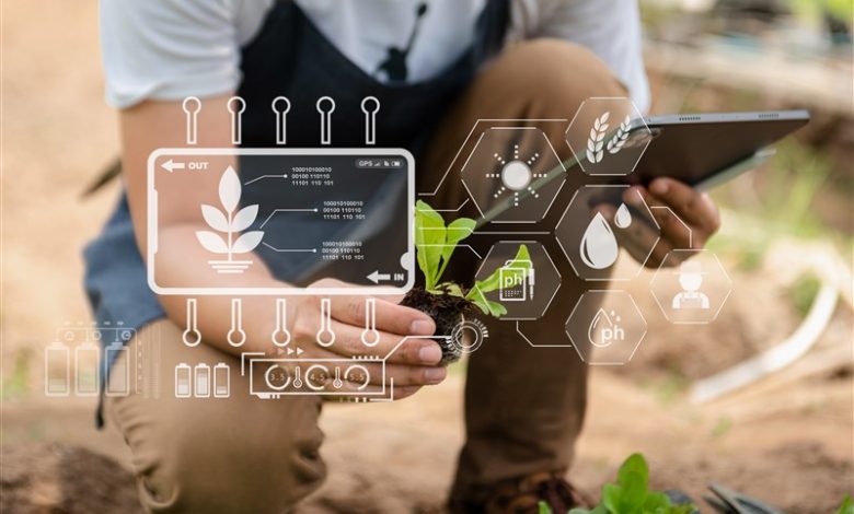 نمایشگاه الکامپ مازندران با نگاه تحولی برپا میشود / اخبار مازندران - اخبار استانها