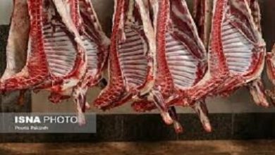 روند صعودی مصرف گوشت قرمز پس از ۴ سال / گوشت قرمز , مصرف گوشت , مرکز آمار , کشتارگاه , دام