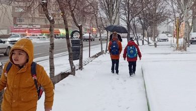 برف سنگین مدارس ابتدایی سیسخت را تعطیل کرد؛ دنا غرق در زیبایی زمستانی شد / اخبار کهگیلویه و بویراحمد - اخبار استانها