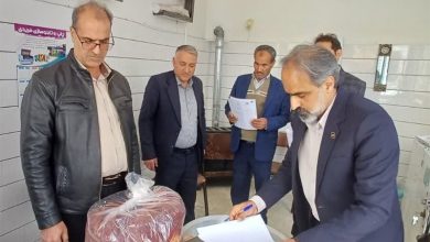 صیانت از حقوق مصرفکنندگان در آستانه یلدا با تشدید نظارتها / اخبار خراسان جنوبی - اخبار استانها