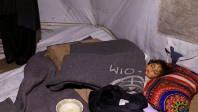 هشدار درباره شیوع بیماریهای واگیردار در میان آوارگان غزه / غزه , آوارگان , بیماریهای واگیردار , رژیم صهیونیستی , کمبود تجهیزات پزشکی