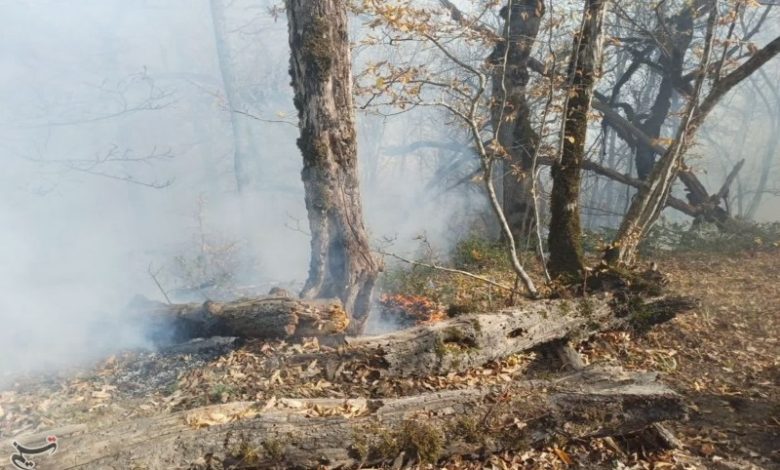 گزارش مجلس درباره علل آتش سوزی جنگل هیرکانی منطقه الیت / اخبار سیاسی روز , اخبار مجلس